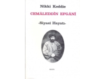 Cemaleddin Efgani/Siyasi Hayat