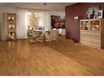 Laminant Parke, - 008