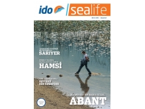 Sealfe Dergisi