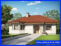 ehir Tarz Villa Projesi - 14-1009