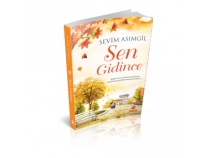 Sen Gidince