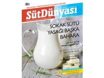 St Dnyas Dergisi