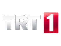 Trt 1