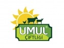 UMUL FTL