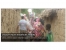 Cansuyu Derne�ine Ba���
