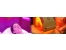 Florance G�zellik - Lazer Epilasyon