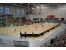 Spor Parke - Beech Sylvaket